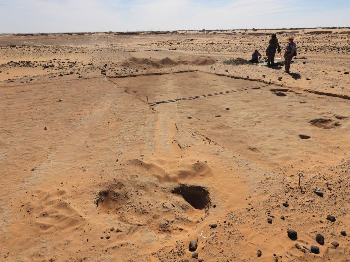 Bone tools for bleeding cows discovered in a 7,000-year-old cemetery in Sudan