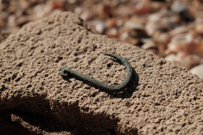 6,000-Year-Old Copper Fishhook Unearthed in Israel