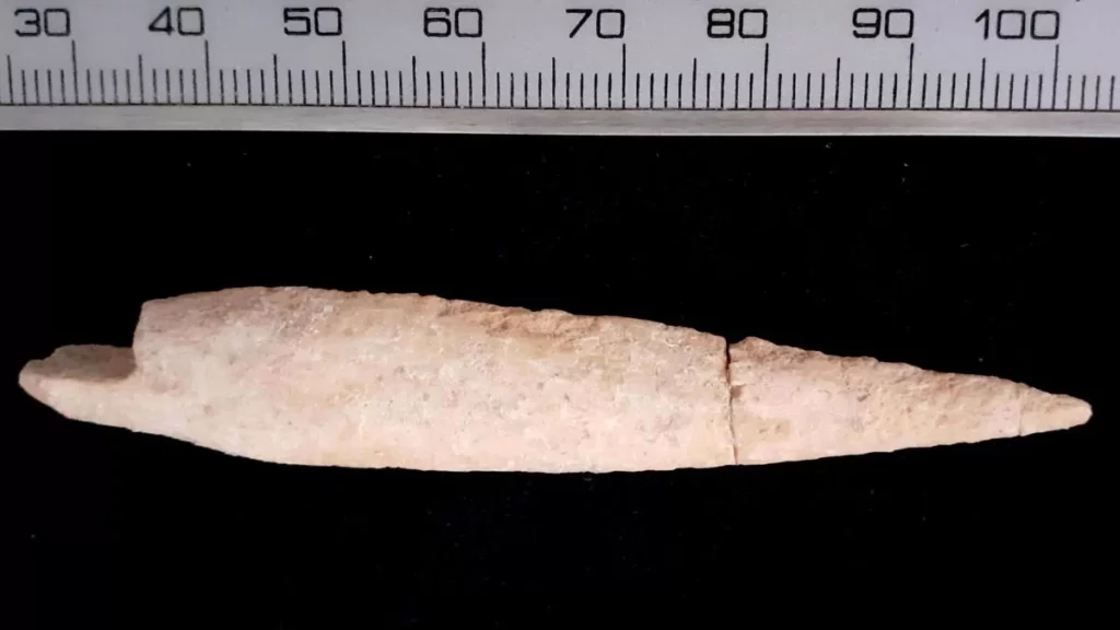 Arrowhead from the Biblical Battle Discovered in the Hometown of the Giant Goliath’s