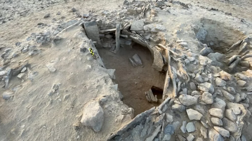 7000-летняя гробница в Омане содержит десятки доисторических скелетов