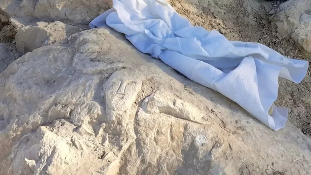 Археологи обнаружили высеченное в скале лицо возрастом 2000 лет в испанском замке Тоссаль-де-ла-Кала.