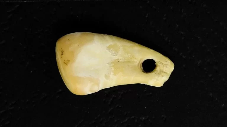 DNA from a 20,000-year-old deer-tooth pendant reveals the woman who wore it