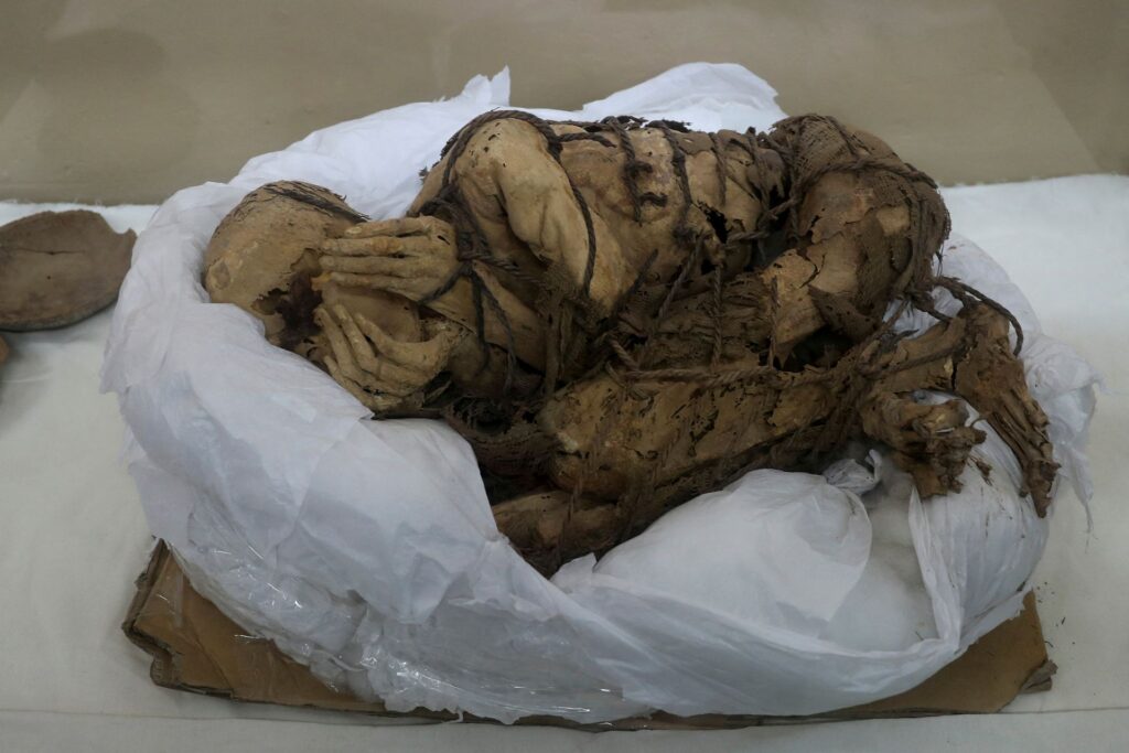 1200-летние останки принесенных в жертву взрослых и детей обнаружены в Перу