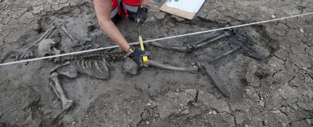 This 500-year-old skeleton died with his boots on