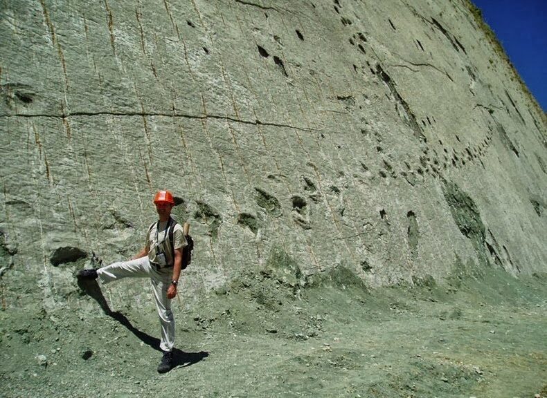 Cal Orcko: A 300 Feet Wall With Over 5,000 Dinosaur Footprints