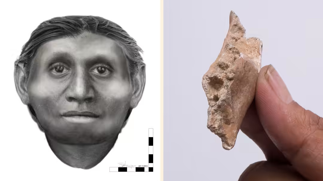 Indonesia discovers 700,000yearold ‘hobbit’ fossils ARCHAEOLOGY WORLD