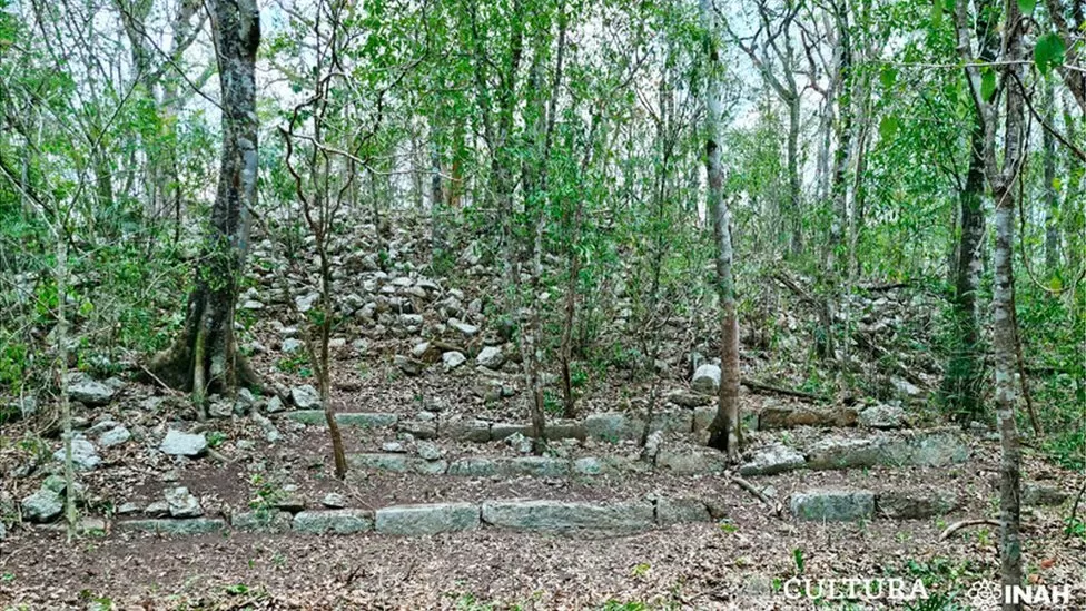 Maya civilization: Archaeologists find an ancient city in the jungle