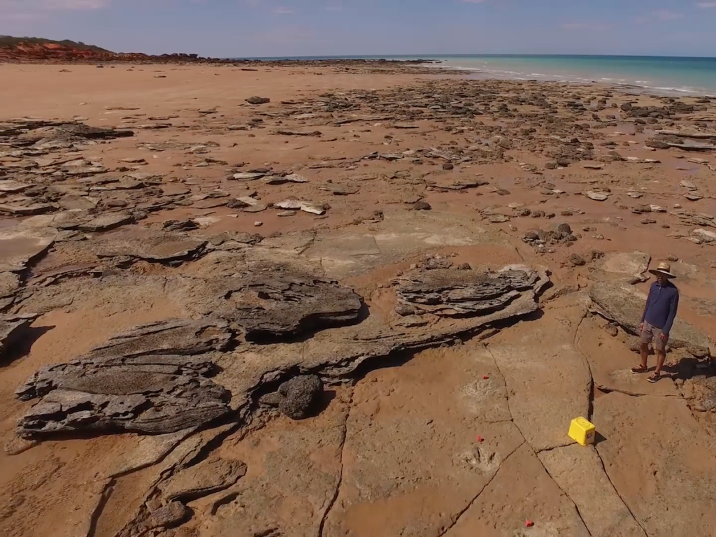 The Largest Dinosaur Footprint Ever Has Been Found In Australia’s ‘Jurassic Park’ - Mnews