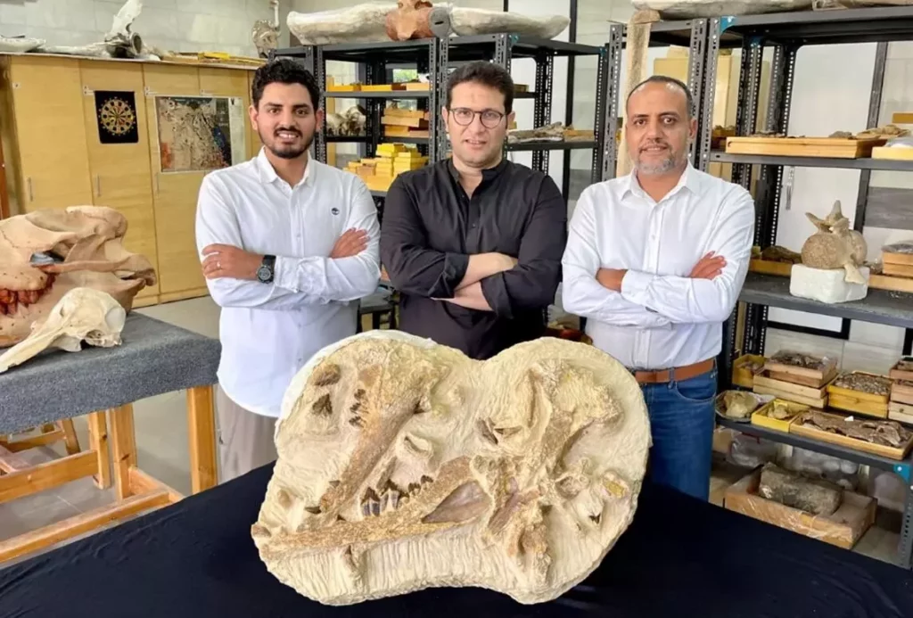 Egypt dig unearths 41 mln-year-old Whale in desert -Tutcetus rayanensis-