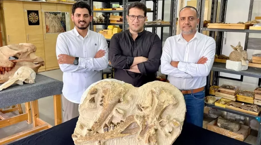 Egypt dig unearths 41 mln-year-old Whale in desert -Tutcetus rayanensis-
