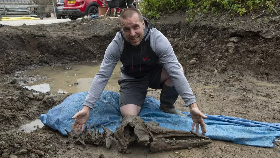 Man finds 8,000-year-old dolphin bones in the back garden