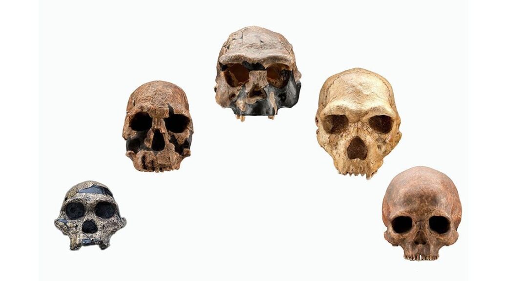 Almost all living people outside of Africa trace back to a single migration more than 50,000 years ago