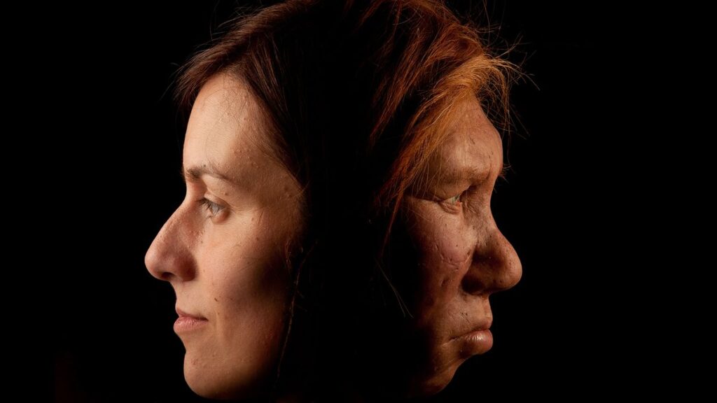 Modern Human Genome Study Tracks Neanderthal DNA