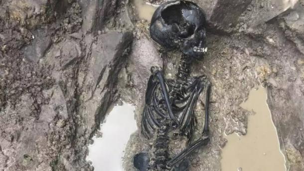 A skeleton of a Viking child uncovered during Dublin archaeological dig