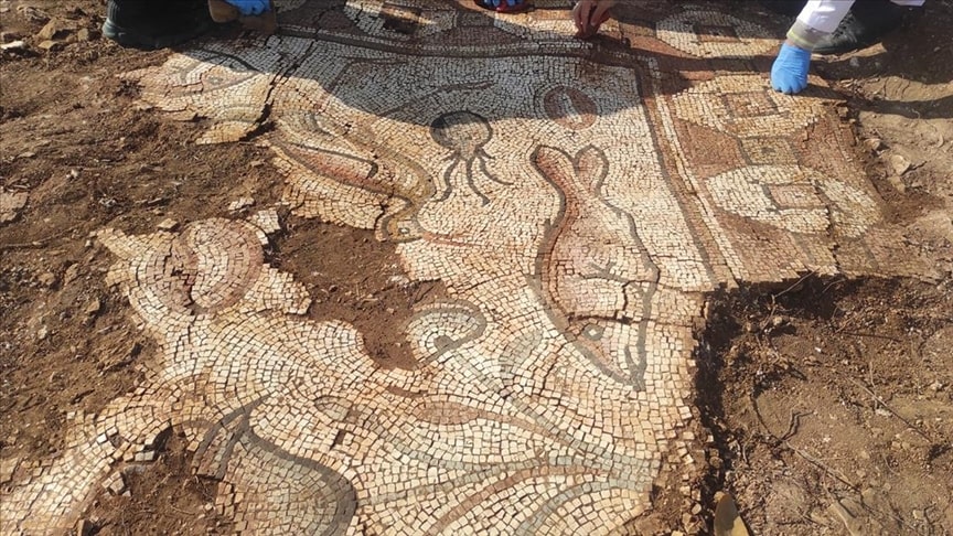 Roman mosaics were found during rescue excavation in southeast Turkey