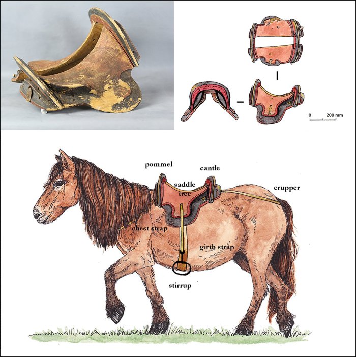 World’s Oldest Known ‘True’ Saddle Discovered In East Asia