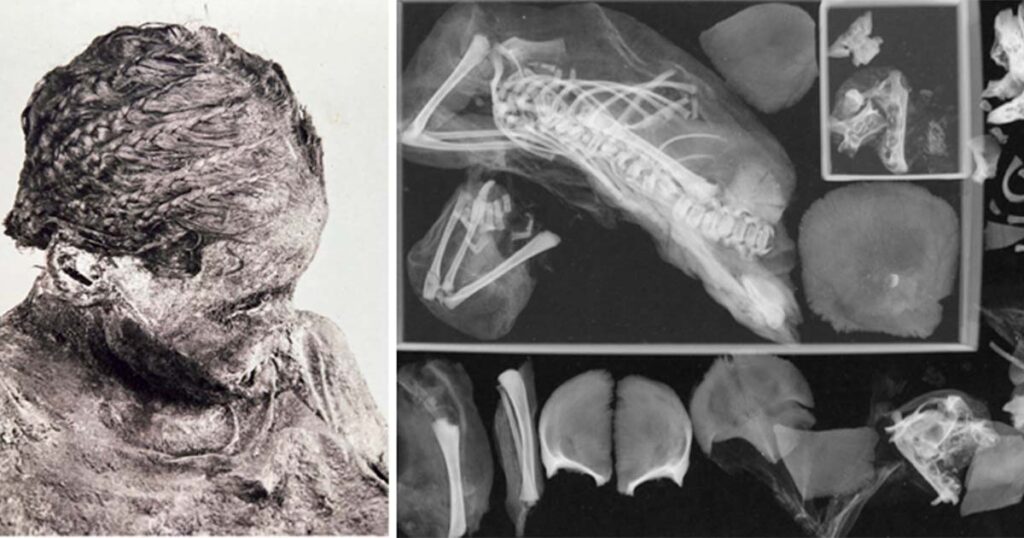 Archaeologists have made a shocking discovery after a re-examination of a mummified teen mom who died in childbirth