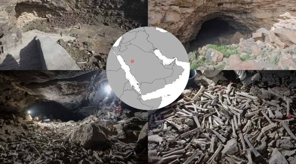 Scientists discover hundreds of thousands of animal, and human bones in Saudi Arabia cave