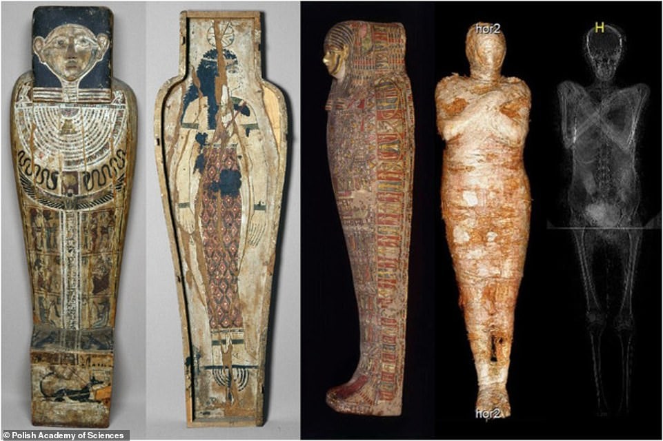 World’s First Pregnant Ancient Egyptian Mummy has been Discovered