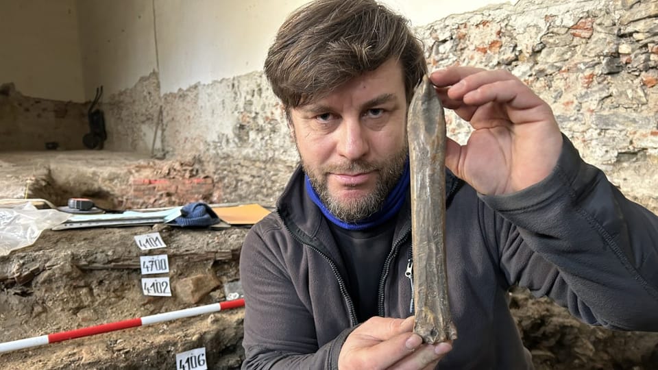 Thousand-year-old bone skate discovered in Czech Republic