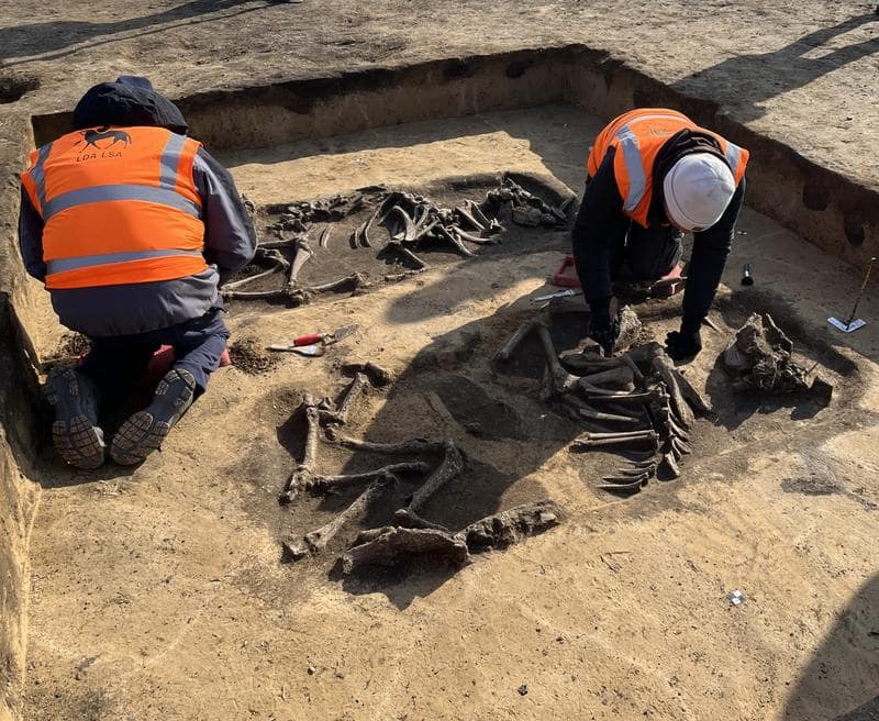 Archaeologists unearth 6,000-year-old two monumental mounds containing wooden grave chambers in Germany