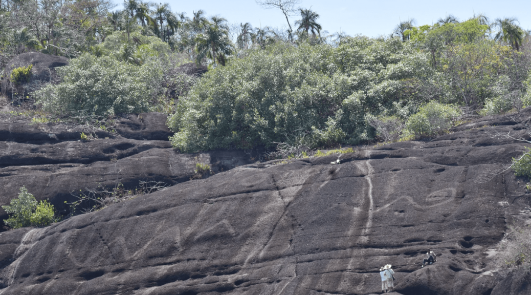 Giant Prehistoric Rock Engravings Discovered in South America May Be The World’s Largest