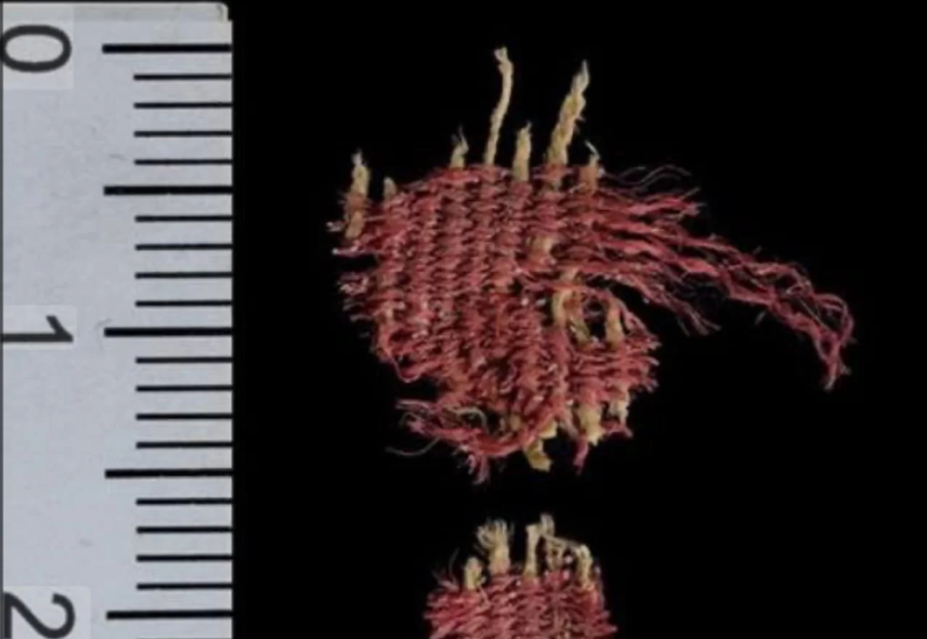 A 4000-year-old Fabric Found in a Cave of Skulls in the Judean Desert is the Oldest Dyed with Insect Dye