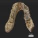 Pre-Human Fossils Suggest Mankind Emerged From Europe Rather Than Africa