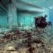5,000-Year-Old Town Discovered Underwater in Greece