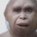 Scientists discover remains of Hobbit humans that stood only 3ft high and lived 700,000 years ago in Indonesia