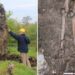 Uprooted tree reveals a violent death from 1,000 years ago